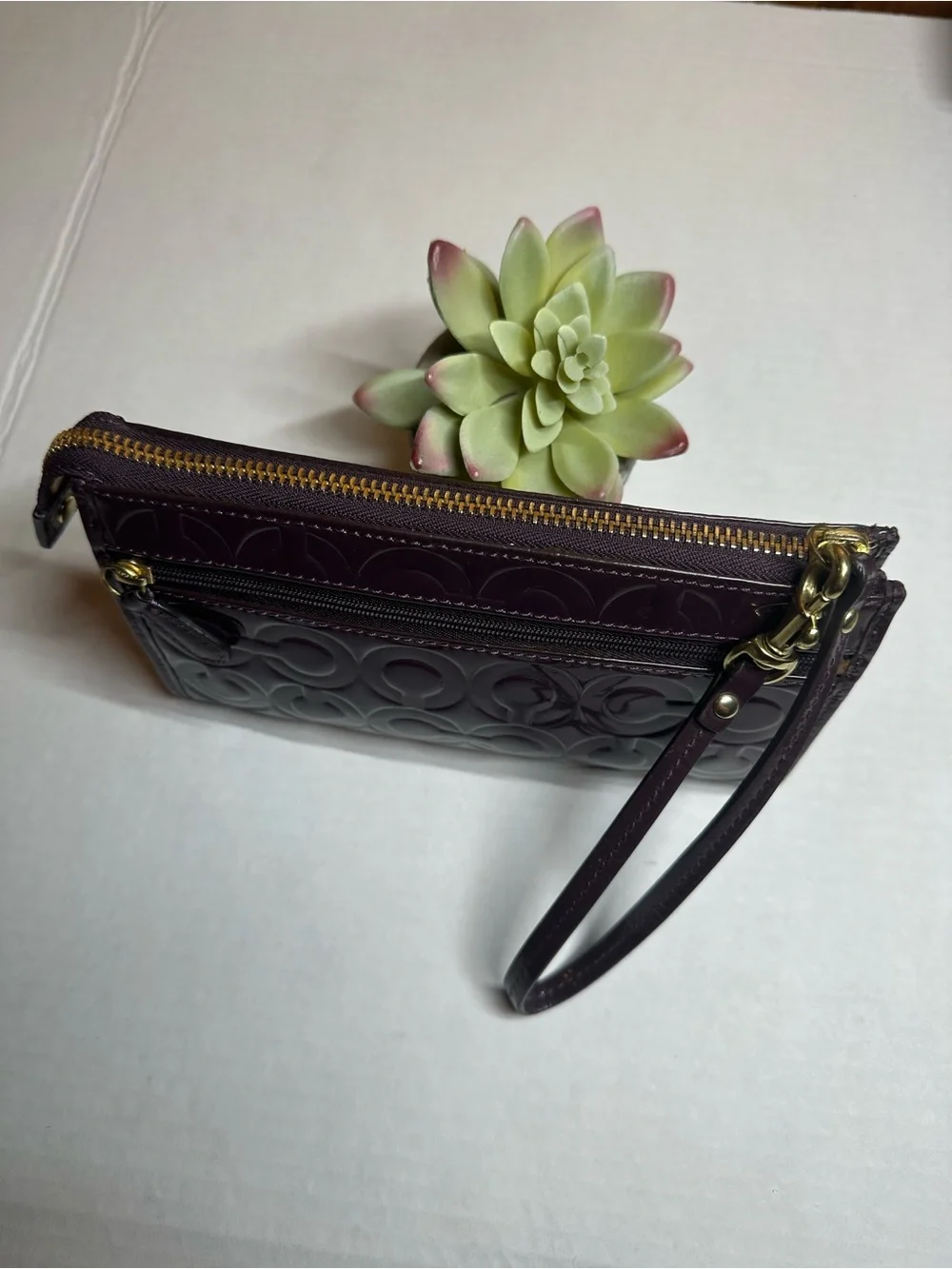 Coach compact wristlet